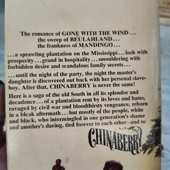 Chinaberry by William Lavender 1976 Pyramid Paperback Historical Fiction - Picture 7 of 13